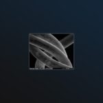 Aaronia Shield RF-suojakangas 50dB (29m²) - Image 3